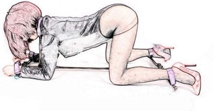 Kit de bondage pour couples