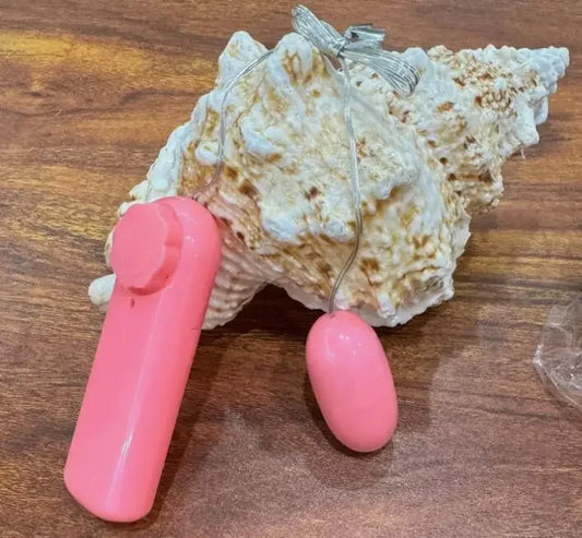 Mini Oeuf vibrant télécommandé