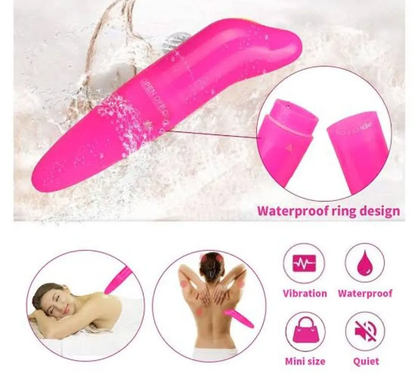 Petit dauphin vibrant