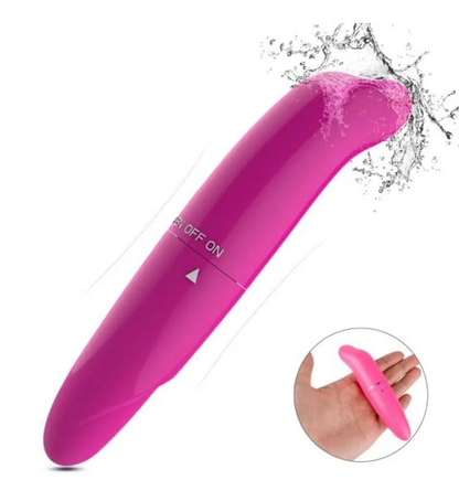 Petit dauphin vibrant